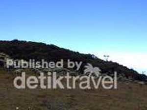 Menyusuri Jejak Soe Hok Gie di Gunung Pangrango