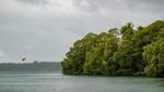 Menyusuri Keajaiban Danau Kakaban