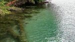 Menyusuri Keajaiban Danau Kakaban