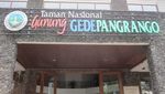 Menyusuri Kembali Jejak Sang Idola di Gede-Pangrango