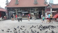 Kuil Goddes Of Mercy Temple, sangat indah apalagi banyak terdapat burung-burung yang sering beterbangan disini