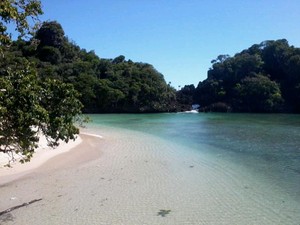 Meraih Serpihan Surgawi di Pulau Sempu