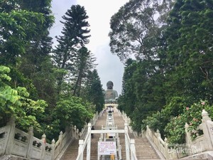 Meresapi Keindahan The Big Buddha di Hong Kong