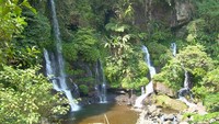 Suasana hijau mengelilingi lokasi Curug Orok (Dinas Pariwasata dan Budaya Jawa Barat)