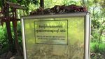 Merinding! Kamboja Punya Lapangan Pembantaian Manusia