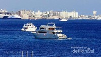 Laut Merah yang biru
