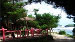 Mesranya Valentine di Resto Pantai Asmara, Yogya