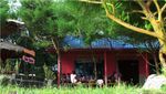 Mesranya Valentine di Resto Pantai Asmara, Yogya