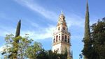 Mezquita, Potret Kejayaan Islam di Spanyol