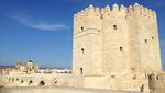 Mezquita, Potret Kejayaan Islam di Spanyol