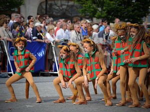 Miaw! Ada Festival Kucing di Belgia