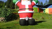 Christmas Sensation