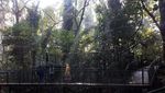 Minggu Pagi di Bandung: Jelajah Babakan Siliwangi