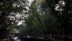 Minggu Pagi di Bandung: Jelajah Babakan Siliwangi