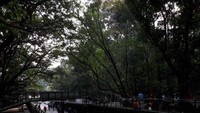 Kendaraa penunjung dapat diparkirkan di bagian bawah Forestwalk, sedangkan bagian atas terdapat tempat duduk untuk bersantai atau melepas lelah setelah berkeliling.