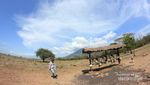 Miniatur Alam Indonesia di Taman Nasional Baluran