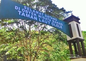 Mirip Lukisan Picasso Tapi di Bawah Laut, Ini Taman Laut Gorontalo