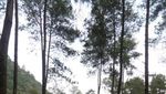 Miris! Kaki Gunung Tampomas yang Cantik Malah Jadi TPA Sampah