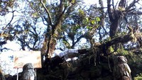Situs di Puncak Gunung Tampomas