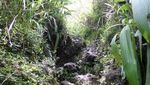 Miris! Kaki Gunung Tampomas yang Cantik Malah Jadi TPA Sampah