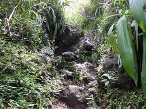 Miris! Kaki Gunung Tampomas yang Cantik Malah Jadi TPA Sampah