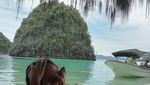 Misool yang Cantik, Bak Gadis Sedang Berdandan