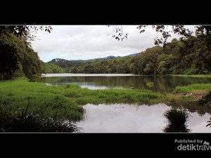 Misteri Ikan Lele Keramat di Telaga Ranjeng