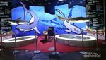 Misteri Kehidupan Dunia Laut di SeaWorld