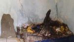 Misteri Makam Keramat Mbah Atas Angin di Baturaden