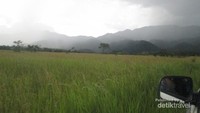 Padang rumput Lembah Bada