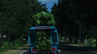 Kendaraan overload sering kita lihat saat traveling menjelajah Indonesia. Dalam perjalanan dari Bendungan Batu Bulan ke Pelabuhan Muara Kali di Sumbawa, kami menjumpai angkot yang penuh sesak oleh pisang.