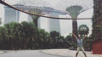 Garden by the bay