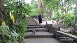Monyet-monyet Menggemaskan di Bali