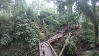 Sacred Sanctuary Monkey Forest