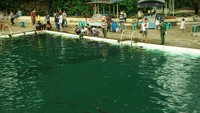 Kolam kedua