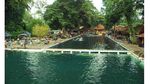 Muah! Serunya Dicium Ikan Dewa di Kuningan, Jabar