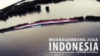 Mangrove di Muara Gembong yang patut dijaga