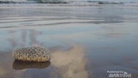 Refleksi di pantai