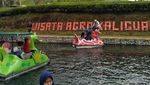 Mudik ke Brebes, Nikmati Kesejukan Kebun Teh Kaligua