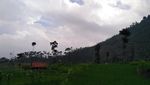 Mudik ke Brebes, Nikmati Kesejukan Kebun Teh Kaligua