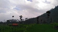 salah satu pemandangan menuju kaligua