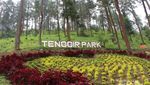 Mudik ke Karanganyar, Ada Tenggir Park yang Instagramable