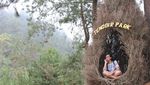 Mudik ke Karanganyar, Ada Tenggir Park yang Instagramable
