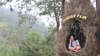 Salah satu spot berfoto yang ada di Tenggir Park