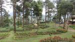 Mudik ke Karanganyar, Ada Tenggir Park yang Instagramable