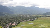 Pemandangan di Puncak Bukit Bendera
