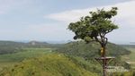 Mudik ke Pesisir Selatan di Sumbar, Ada Bukit Bendera yang Hits