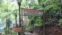 Jika melewati pintu depan , kita akan melewati anak tangga yang jumlahnya lumayan dan akan sampai disini sebelum ke air terjun.