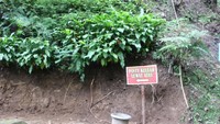 Penunjuk arah yang terdapat di air terjun jumog, ada 2 pilihan lewat atas atau lewat bawah.