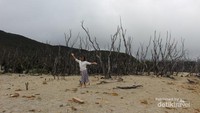 Kawasan hutan mati yang eksotis, tempat favorit untuk berfoto